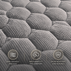 CozyRide premium padded comfort detail
